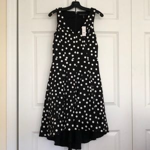 White House Black Market Cotton Sateen Polka Dot Fit-and-Flare Dress size 2
